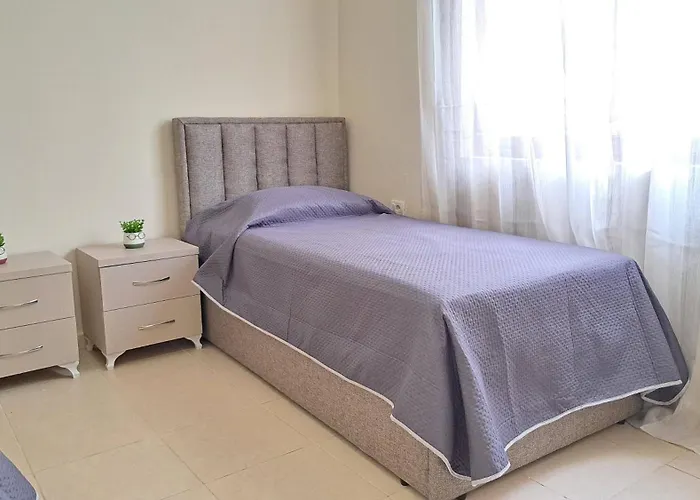 Adi's House 地拉那