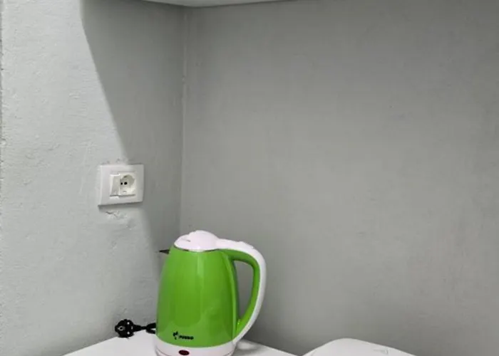 Adi's House 度假居 地拉那